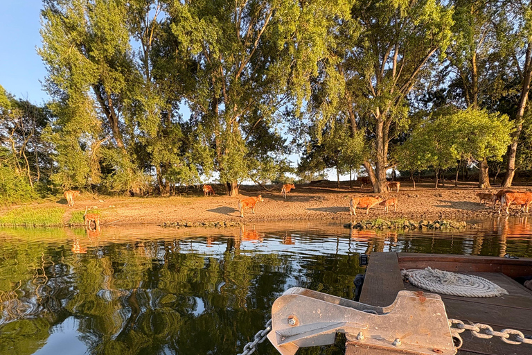 Location bateau traditionnel de Loire