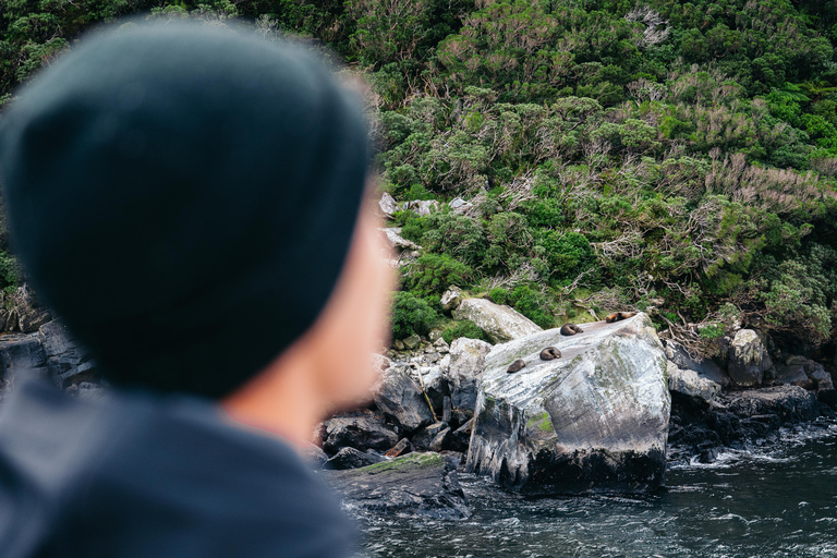 Milford Sound: Waterfalls, Wildlife, and Rainforest Cruise Midday Cruise