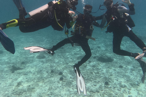 Muscat: Daymaniat Islands Try Scuba Diving