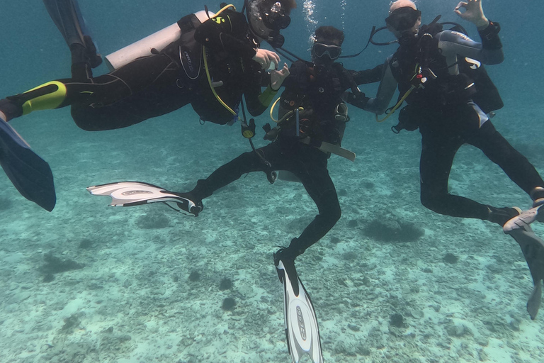 Muscat : Les îles Daymaniat s&#039;essaient à la plongée sous-marine