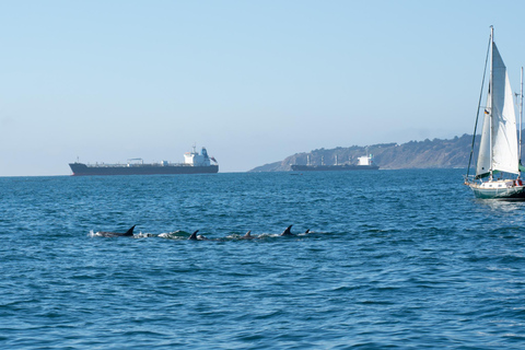 tour de navegacion en yate a vela por las costas de chile