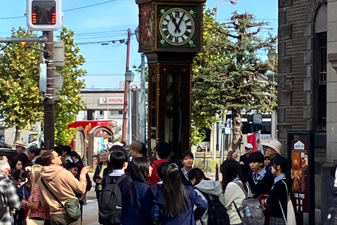 أوتارو: جولة مدينة بصحبة مرشد (سوق السمك، ممشى القناة والمزيد)أوتارو: جولة مدينة بصحبة مرشد (سوق الس