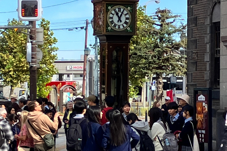 أوتارو: جولة مدينة بصحبة مرشد (سوق السمك، ممشى القناة والمزيد)أوتارو: جولة مدينة بصحبة مرشد (سوق الس