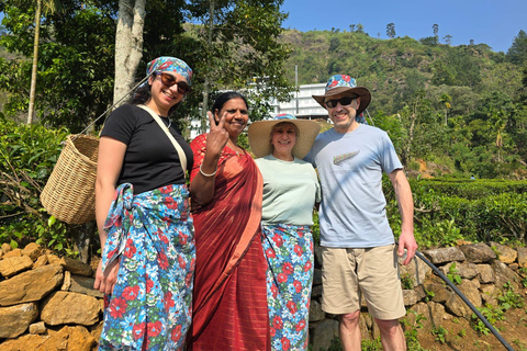 From Kandy to Ella: Waterfall, Tea Factory & Scenic Transfer Kandy: Ella Transfer by TUKTUK