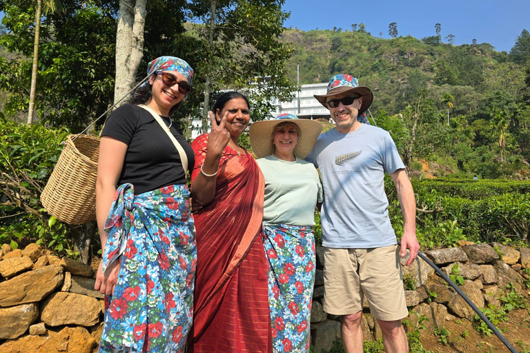 From Kandy to Ella: Waterfall, Tea Factory & Scenic Transfer Kandy: Ella Transfer by TUKTUK