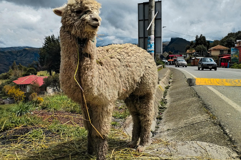 Z Quito: Jednodniowa wycieczka do Quilotoa i Baños z biletami wstępu