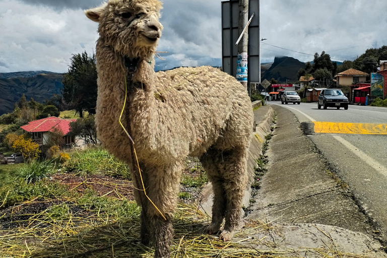 Z Quito: Jednodniowa wycieczka do Quilotoa i Baños z biletami wstępu