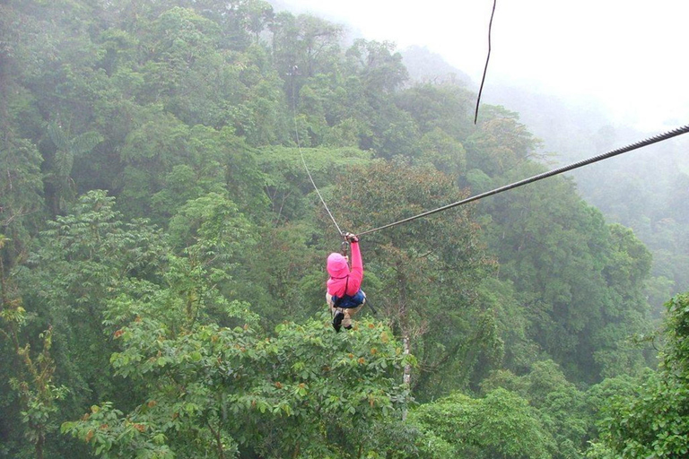 Kigali: 2-Day Nyungwe Canopy Walk, Zipline & Waterfall Tour