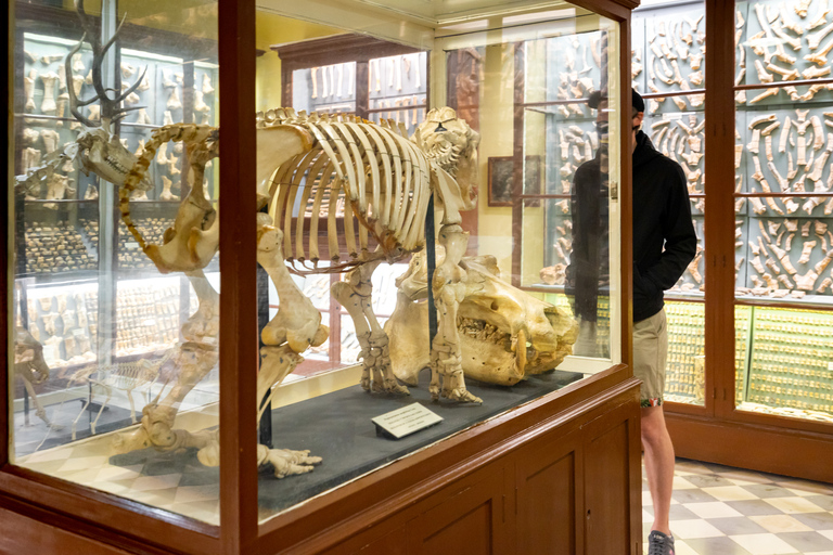 马耳他史前寺庙之旅