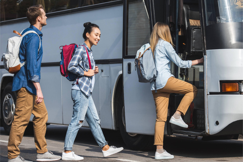 Playa del Carmen : Transfert partagé aller simple vers l'aéroport de Cancún.
