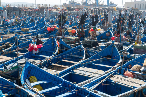 From Marrakech: Essaouira Day Trip with Beach & Medina Essaouira Small Group Day Trip