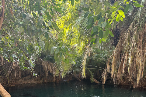 Moshi/Arusha: Chemka Hot Springs Materuni Waterfall Day tour 2 in 1 : Materuni & Chemka tour from Moshi