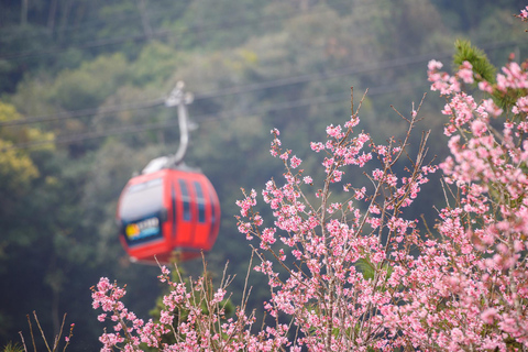 From Taipei: 1 Day Sun Moon Lake Private Tour