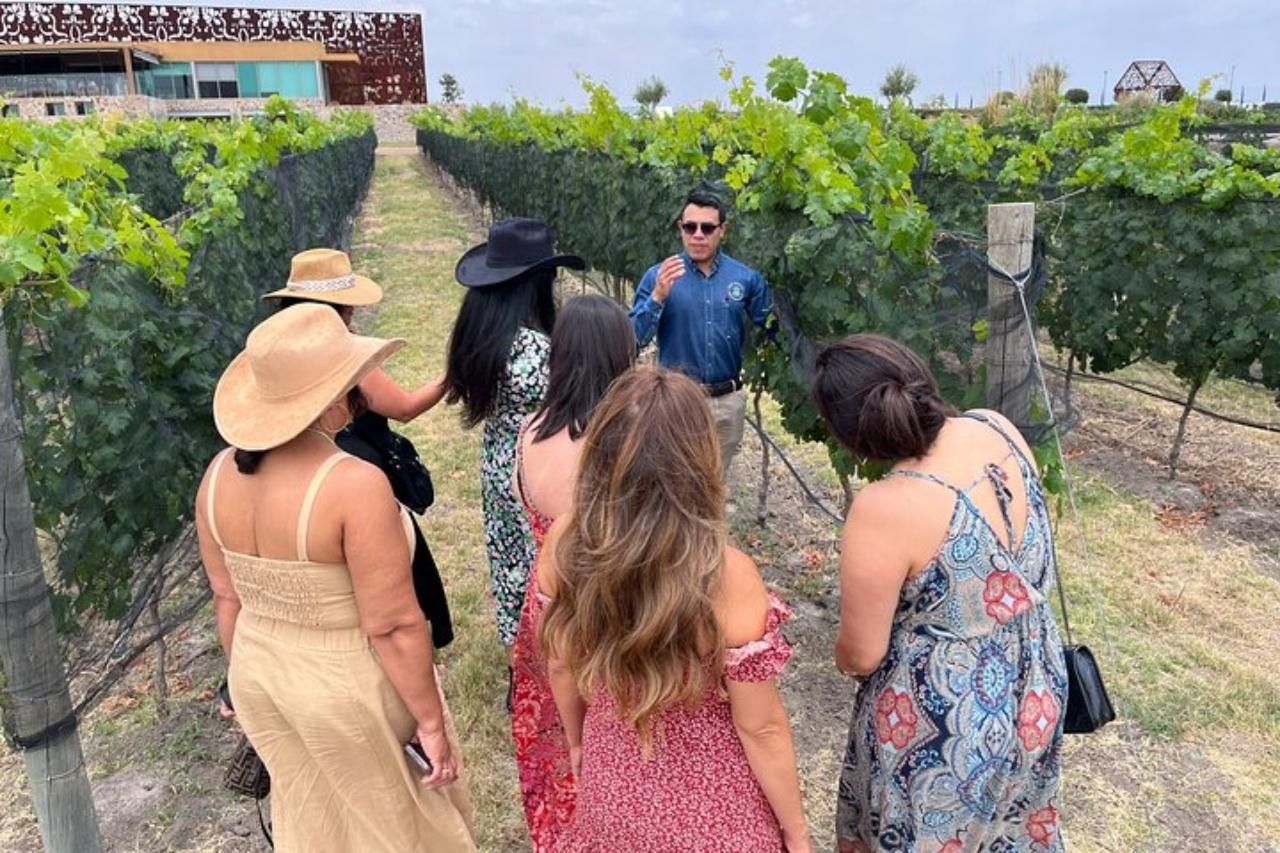 San Miguel de Allende: Tour durch die Weinberge und Weinverkostung