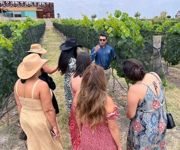 San Miguel de Allende: Visita a viñedos locales y cata de vinos