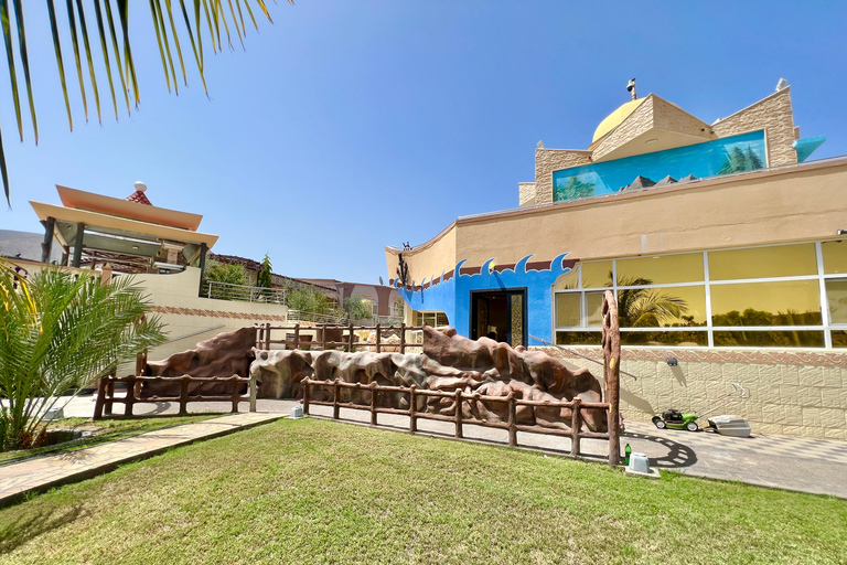 Oman: 5-Day Adventure Tour with Forts, Souqs & Mountains