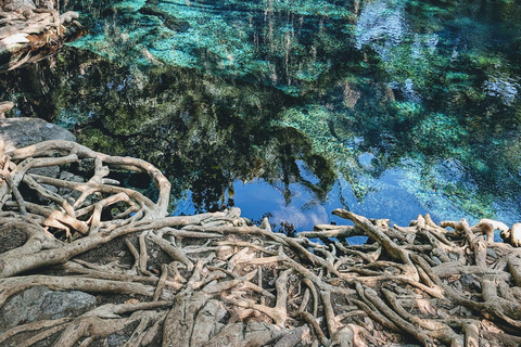 Arusha: Tagestour zu den Kikuletwa-HeißquellenArusha: Tagestour zu den heißen Quellen von Kikuletwa