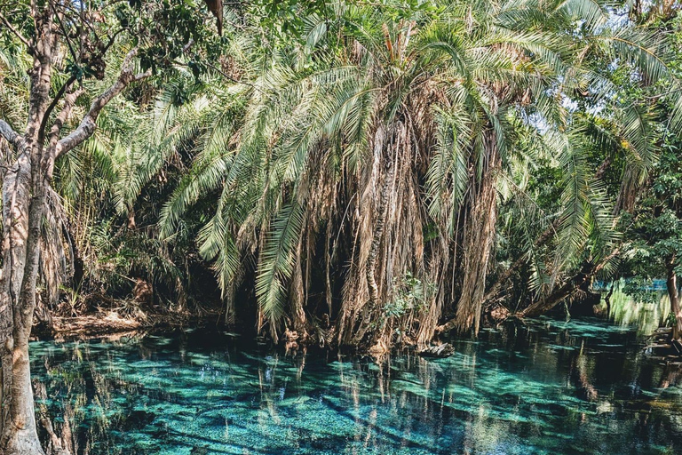 Arusha: Tagestour zu den Kikuletwa-HeißquellenArusha: Tagestour zu den heißen Quellen von Kikuletwa