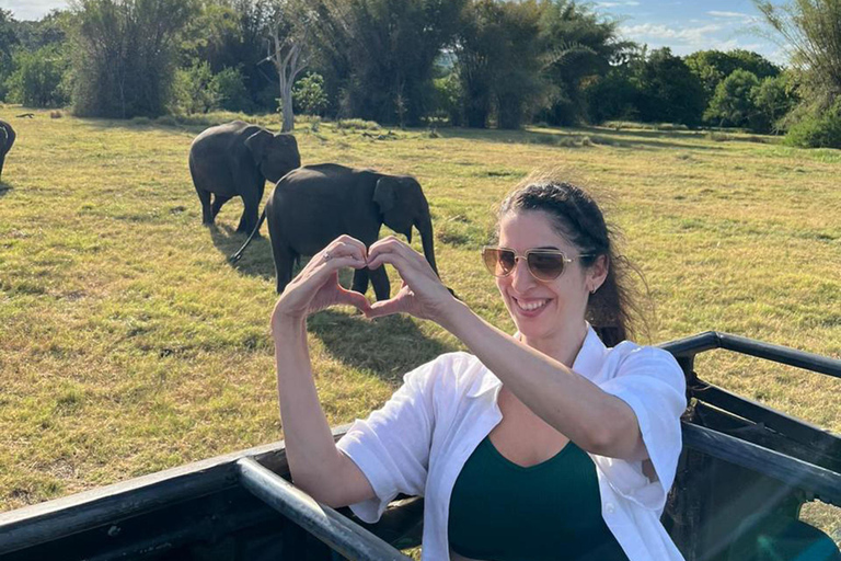 From Kandy: Sigiriya Rock & Minneriya Safari by Luxury Car