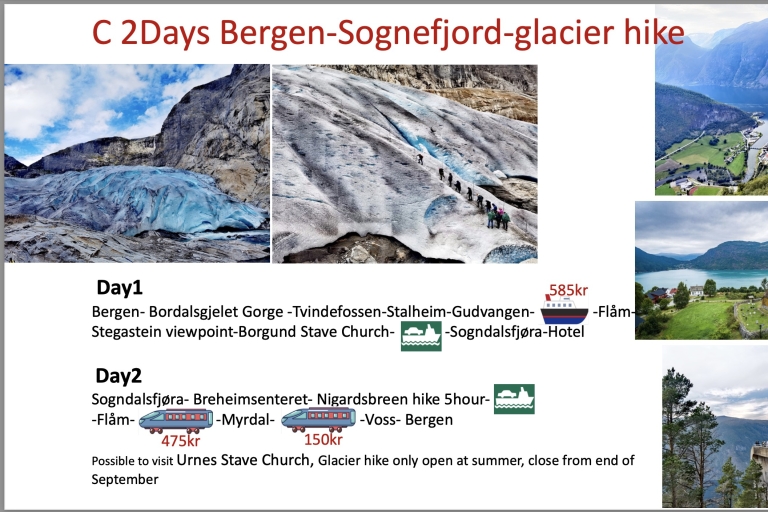 2 jours d'excursion flexible à Hardanger et au glacier de Sognfjord2 jours d'excursion flexible à Hardanger et Sognfjord Flåm