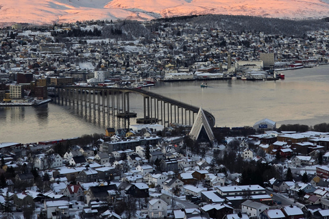Tromsø: Fjellheisen Local Guided Hike