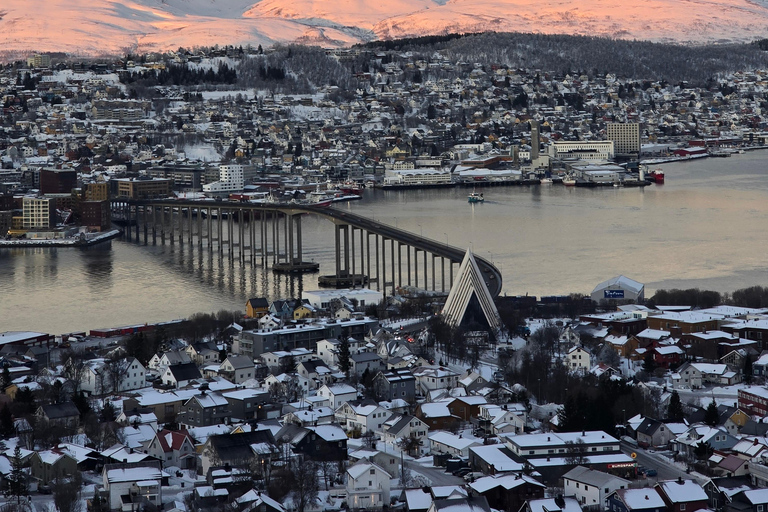 Tromsø: Fjellheisen Local Guided Hike