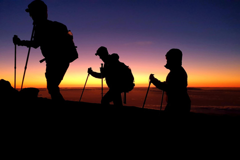 Tenerife: Senderismo Pico Teide 3715mSenderismo por el pico del Teide con Vulcan Walkers