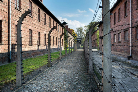 Kraków: Jewish Quarter, Auschwitz, And Salt Mine 3-Day Tour