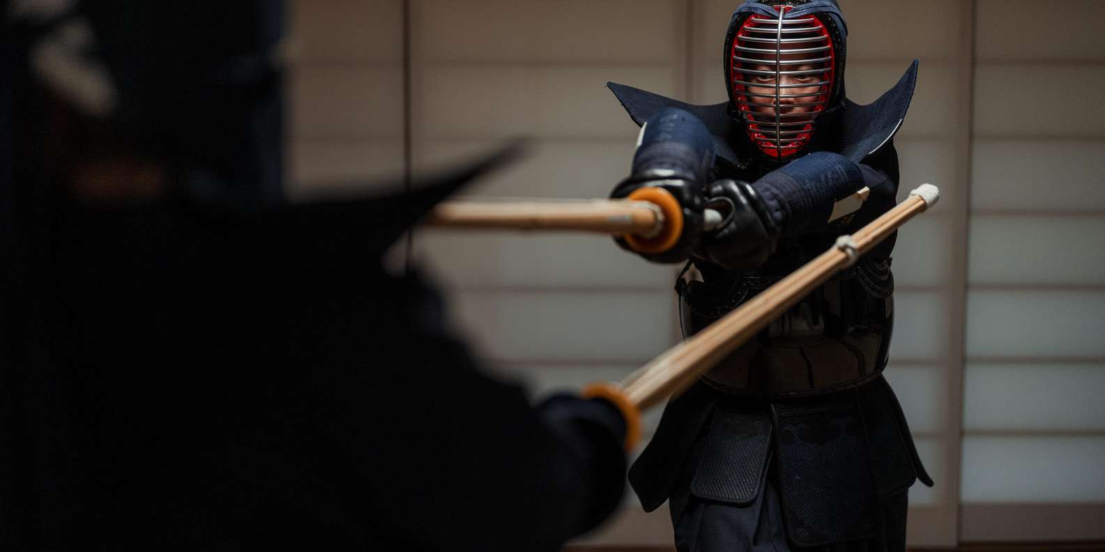Kyoto experience — temples, geisha, bamboo grove — image 24