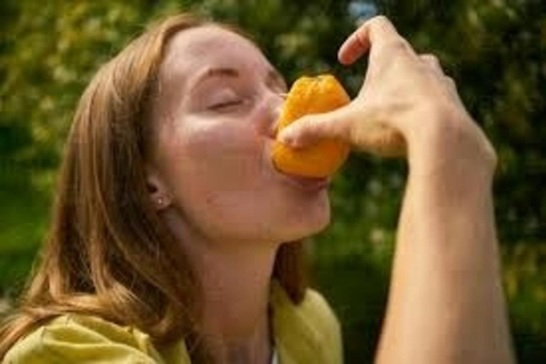 Tropikalne owoce Brazylii w São PauloDegustacja owoców dla grup