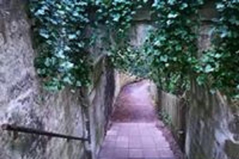 Elgin: The Royal West End Walking Tour