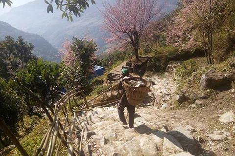 Pokhara: Lo más destacado con Teleférico, Sarangkot y Caminata