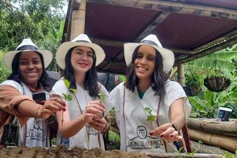 Medellin: Guatape & The Coffee Route