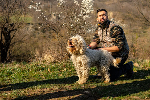 Langhe: Sunset Truffle Hunting with Tasting and Wine