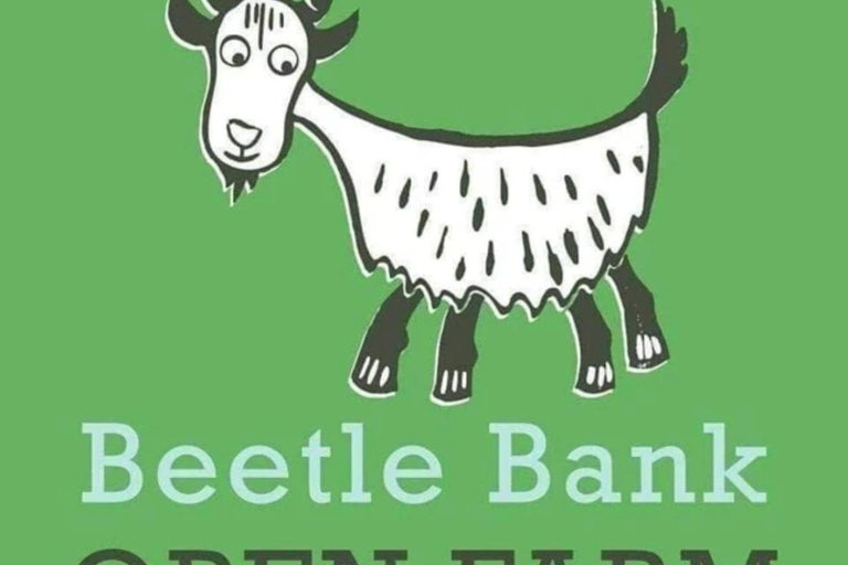 York: Beetle Bank Open Farm Entry Ticket