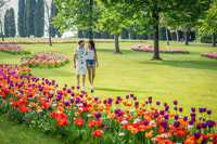 Valeggio，Sigurtà花园公园入口票 - Housity