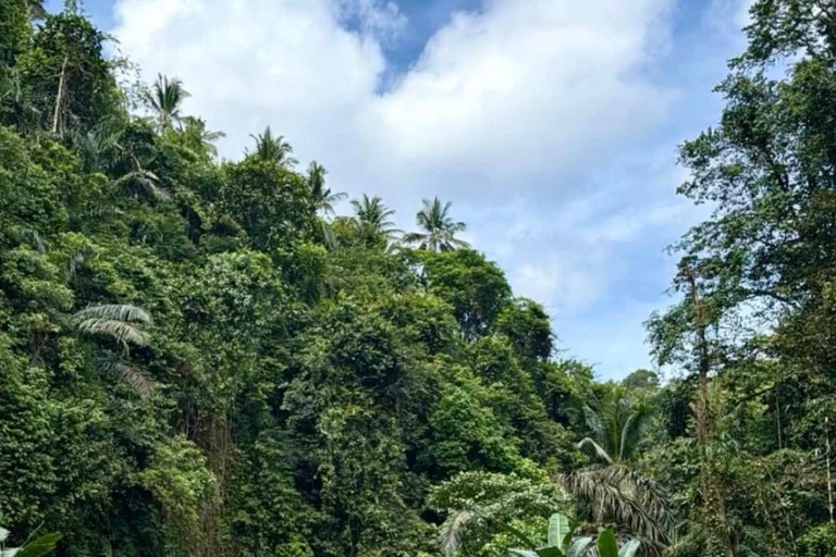 Ubud: ATV, Rafting, Jungle Swing, and Balinese Massage ATV with Transfer