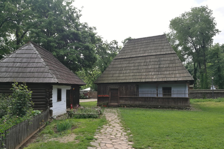 Visita panorámica de Bucarest con tres paradas y dos visitas.