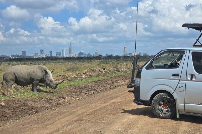 Nairobi Park Safari, Sheldrick's Orphanage & Giraffe Center Shared Drive in Open-Roof Van Game Drive