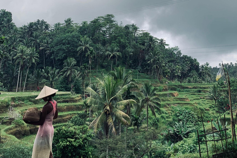 Ubud : Sacred Monkey Forest, Waterfall, Temple & Swing Tour Full-Day Tour Without Entry Fees