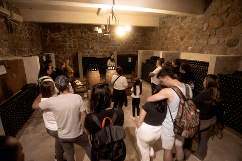 Cafayate: Tour de dia completo por bodegas y degustacion de vinos