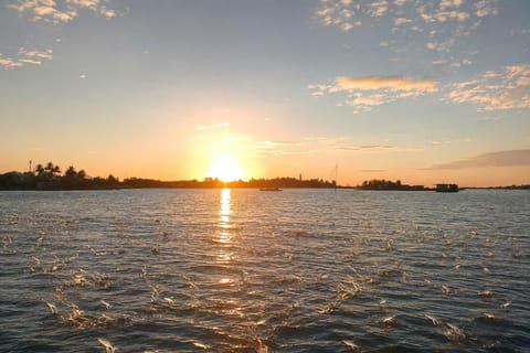 Sunrise Hoi An: Watch Fish Jumping, Trapping & Wildlife - Image 2