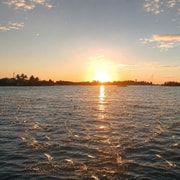 Sunrise Hoi An: Watch Fish Jumping, Trapping & Wildlife