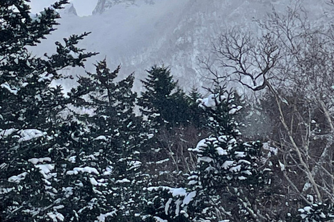 Shikotsu-Toya National Park: Guided Snowshoe Hike and Onsen Shikotsu-Toya National Park: Guided Snowshoe Hike and Onsen.