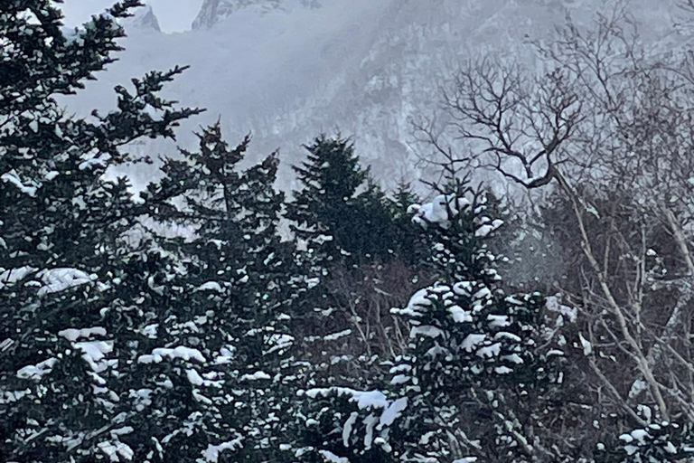 Shikotsu-Toya National Park: Guided Snowshoe Hike and Onsen Shikotsu-Toya National Park: Guided Snowshoe Hike and Onsen.