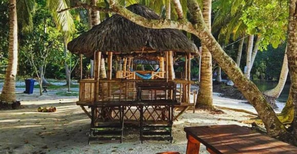 North Qatar: Guided Tour of Mangrove Forest With Kayaking