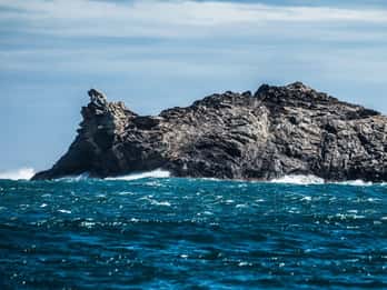 From Roses:Äventyr i Cap de Creus: Upptäck och bada i en vild vik