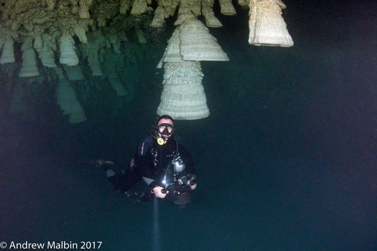 Von Cancun aus: Kin Ha &amp; Hell&#039;s Bells Cenote TaucherlebnisTaucherfahrung