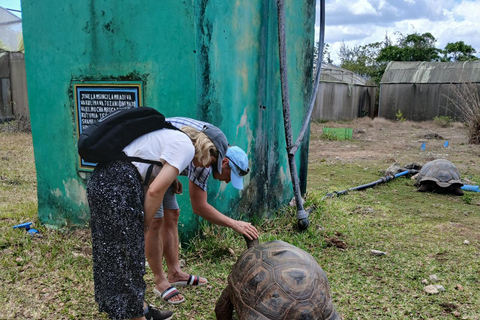 ZANZIBAR: Jozani Forest, Reptile Park & The Rock Restaurant PRIVATE TOUR TRANSPORT NOT INCLUDED