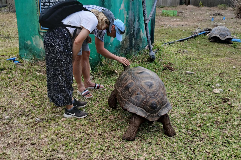 ZANZIBAR: Jozani Forest, Reptile Park & The Rock Restaurant PRIVATE TOUR TRANSPORT NOT INCLUDED